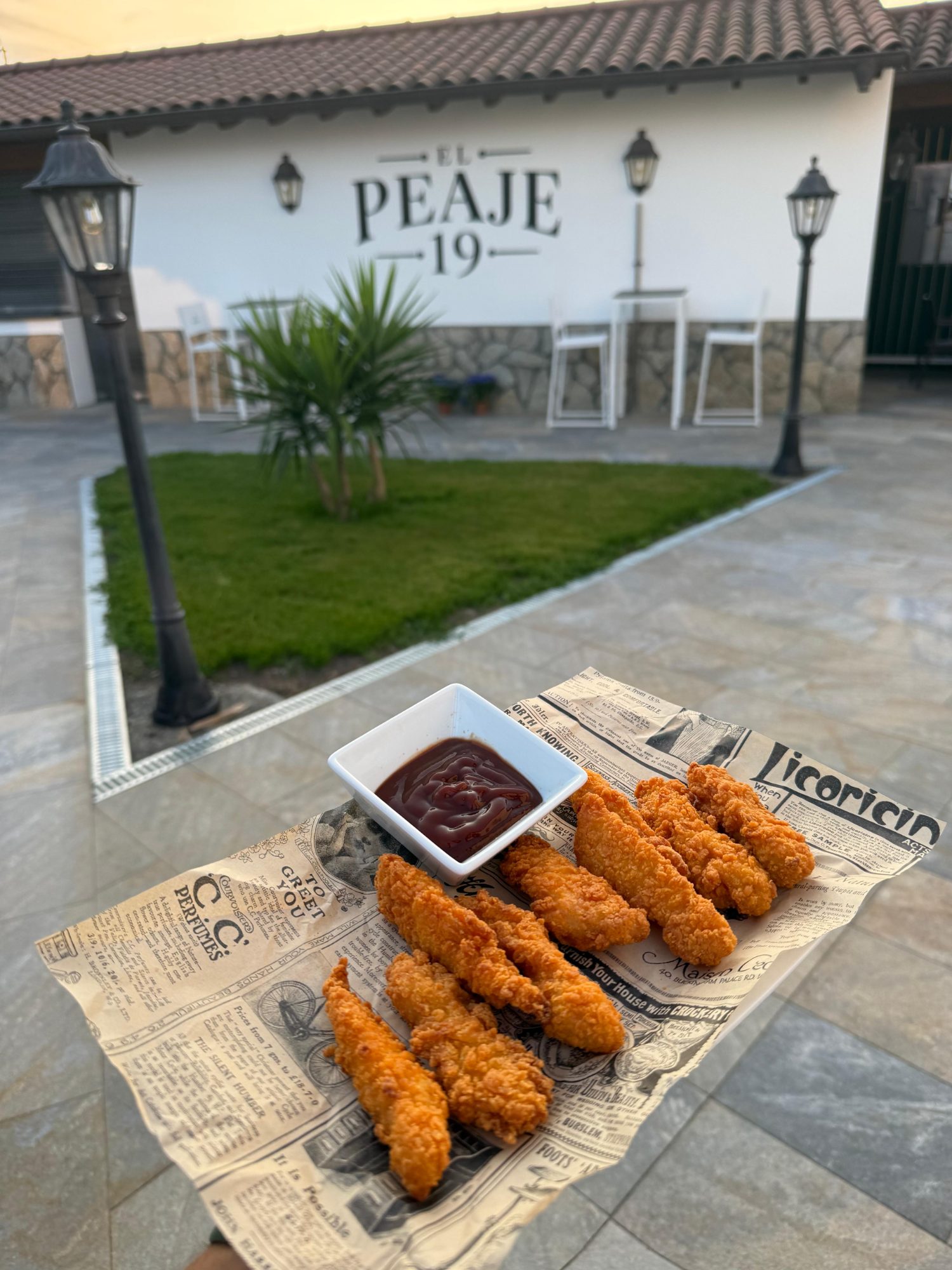 Ración de tiras de pollo en el patio